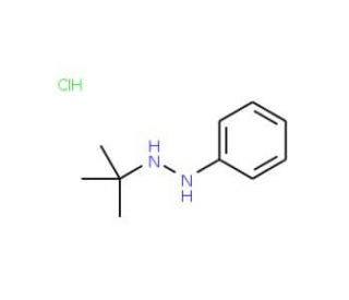 1-tert-butyl-2-phenylhydrazine hydrochloride - chemical structure image