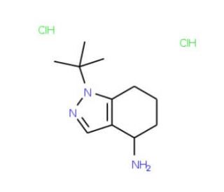 1-tert-butyl-4,5,6,7-tetrahydro-1H-indazol-4-amine dihydrochloride - chemical structure image
