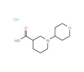 1-(Tetrahydro-2H-pyran-4-yl)piperidine-3-carboxylic acid hydrochloride - chemical structure image