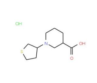 1-(Tetrahydro-3-thienyl)piperidine-3-carboxylic acid hydrochloride - chemical structure image