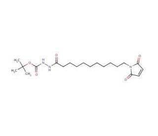 11-Maleimidoundecane-1-carbonyl-1-(t-butyl)carbazate (CAS 1076198-39-4) - chemical structure image