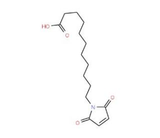 11-Maleimidoundecanoic Acid (CAS 57079-01-3) - chemical structure image