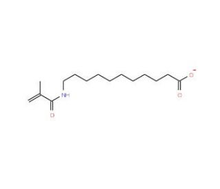 11-(Methacryloylamino)undecanoic acid (CAS 59178-93-7) - chemical structure image