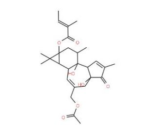 12-Deoxyphorbo 13-Angelate 20-Acetate (CAS 25090-72-6) - chemical structure image