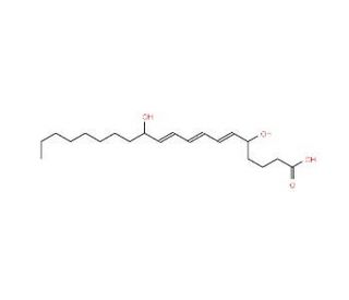 12-epi Leukotriene B3 - chemical structure image