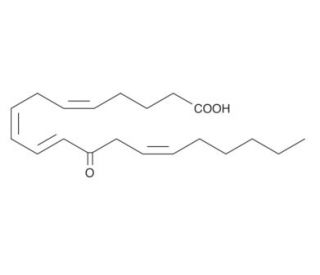 12-OxoETE (CAS 108437-64-5) - chemical structure image