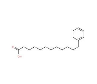 12-Phenyldodecanoic acid (CAS 14507-27-8) - chemical structure image