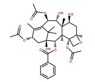 13-Acetyl-9-dihydrobaccatin-III - chemical structure image