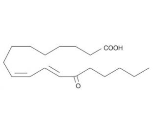 13-OxoODE (CAS 54739-30-9) - chemical structure image
