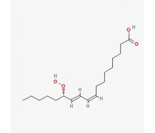 13(S)-HPODE (CAS 33964-75-9) - chemical structure image