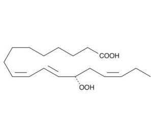 13(S)-HpOTrE (CAS 67597-26-6) - chemical structure image