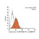 Cytokeratin 19 (RCK108) PE: sc-53003 PE. Intracellular FCM analysis of... 