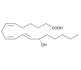 13(S)-HOTrE(&gamma;) (CAS 74784-20-6) - chemical structure image