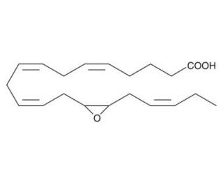 14(15)-EpETE (CAS 131339-24-7) - chemical structure image