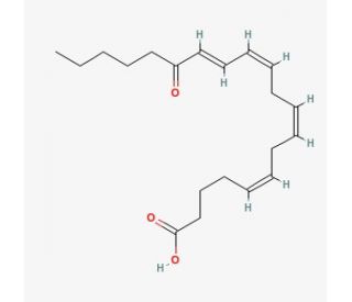 15-KETE (15-oxo-ETE) (CAS 81416-72-0) - chemical structure image