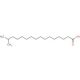 15-Methylpalmitic acid 的分子结构, CAS编号: 1603-03-8 15-Methylpalmitic acid (CAS 1603-03-8) - chemical structure image