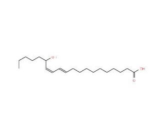 15(S)-HEDE (CAS 92693-04-4) - chemical structure image