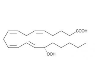 15(S)-HPETE (CAS 70981-96-3) - chemical structure image