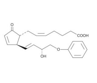 16-phenoxy tetranor Prostaglandin A2 (CAS 51639-10-2) - chemical structure image