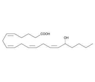 16(R)-HETE (CAS 183509-22-0) - chemical structure image