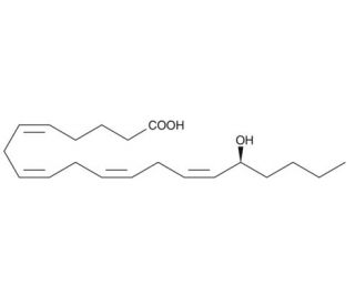 16(S)-HETE (CAS 183509-23-1) - chemical structure image