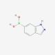 1H-Indazole-6-boronic acid (CAS 885068-10-0) - chemical structure image