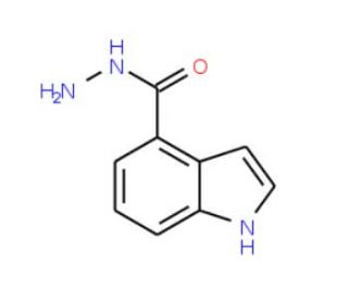 1H-Indole-4-carboxylic acid hydrazide (CAS 885272-22-0) - chemical structure image