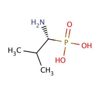 (1R)-(&plus;)-(1-Amino-2-methylpropyl)phosphonic acid (CAS 66254-56-6) - chemical structure image
