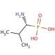 (1R)-(+)-(1-Amino-2-methylpropyl)phosphonic acid (CAS 66254-56-6) - chemical structure image