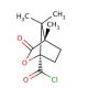 (1R)-(+)-Camphanic chloride (CAS 104530-16-7) - chemical structure image