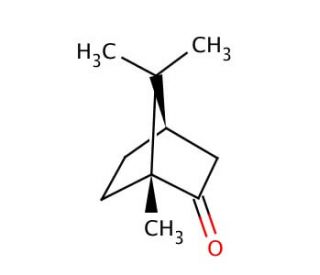 (1R)-(&plus;)-Camphor (CAS 464-49-3) - chemical structure image