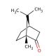 (1R)-(+)-Camphor (CAS 464-49-3) - chemical structure image