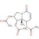 (1S,2R,8R,8aR)-1,2,8-Triacetoxy-1,2,3,5,8,8a-hexahydro-5-oxyindolizine - chemical structure image