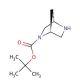 (1S,4S)-(−)-2-Boc-2,5-diazabicyclo[2.2.1]heptane (CAS 113451-59-5) - chemical structure image