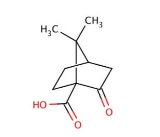 (1S)-(&plus;)-Ketopinic acid (CAS 40724-67-2) - chemical structure image