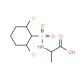 2-{[(2,6-dichlorophenyl)sulfonyl]amino}propanoic acid - chemical structure image