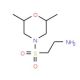 2-[(2,6-dimethylmorpholin-4-yl)sulfonyl]ethanamine - chemical structure image