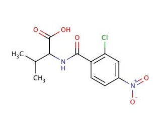 2-[(2-chloro-4-nitrobenzoyl)amino]-3-methylbutanoic acid - chemical structure image