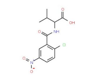 2-[(2-chloro-5-nitrobenzoyl)amino]-3-methylbutanoic acid - chemical structure image