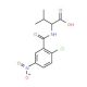 2-[(2-chloro-5-nitrobenzoyl)amino]-3-methylbutanoic acid - chemical structure image