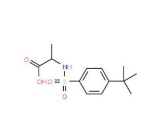 2-{[(4-tert-butylphenyl)sulfonyl]amino}propanoic acid (CAS 159855-98-8) - chemical structure image