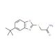 2-[(5-tert-Butyl-1,3-benzoxazol-2-yl)thio]-acetamide - chemical structure image