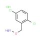 2-[(Aminooxy)methyl]-1,4-dichlorobenzene hydrochloride - chemical structure image
