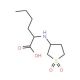 2-(1,1-Dioxo-tetrahydro-1lambda*6*-thiophen-3-yl-amino)-hexanoic acid - chemical structure image