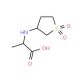 2-(1,1-Dioxo-tetrahydro-1lambda*6*-thiophen-3-yl-amino)-propionic acid (CAS 247109-40-6) - chemical structure image