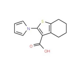 2-(1H-pyrrol-1-yl)-4,5,6,7-tetrahydro-1-benzothiophene-3-carboxylic acid (CAS 26176-21-6) - chemical structure image