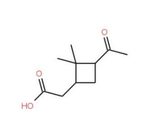 2-((1S,3S)-3-Acetyl-2,2-dimethylcyclobutyl)acetic acid (CAS 64396-97-0) - chemical structure image
