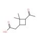 2-((1S,3S)-3-Acetyl-2,2-dimethylcyclobutyl)acetic acid (CAS 64396-97-0) - chemical structure image