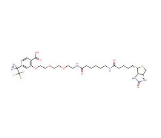 2-[2-[2-[2-[6-(Biotinylaminohexanoyl]aminoethoxy]ethoxy]ethoxy]-4-[3-(trifluoromethyl)-3H-diazirin-3-yl]benzoic Acid (CAS 207