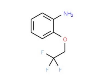 2-(2,2,2-trifluoroethoxy)aniline (CAS 57946-60-8) - chemical structure image
